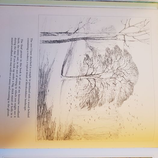 Beningfields Woodlands. Beautiful paintings by Gordan Beningfield of woodland and it birds and animals.