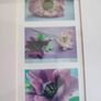 Framed Purple Poppy  images,  in square prints Image 2