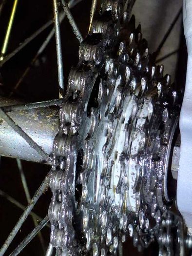 Bike for Sale