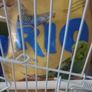 Bird cage with all accessories Image 2