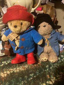Paddington bears free postage