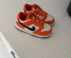 Nike Dunks