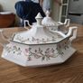 eternal beau dish Image 2