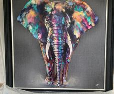 Louise Luton Elephant Photo 40in  40in (New)
