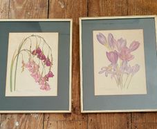 Vintage pair of framed botanicals