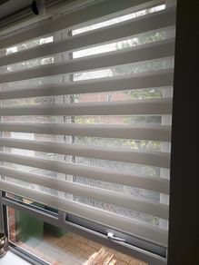 Zebra Blind / White