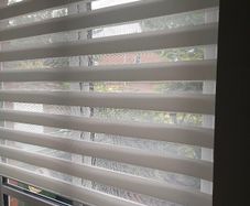 Zebra Blind / White