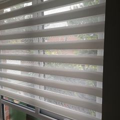 Zebra Blind / White