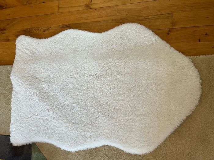 rug