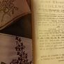 News Chronicle/ Needlework & Crafts / 1935 Image 5