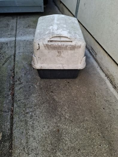 Dog Kennel / Cat House