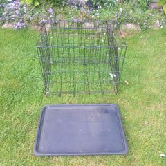 Dog Cage