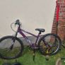 bikes Image 3