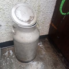 milk/water jug