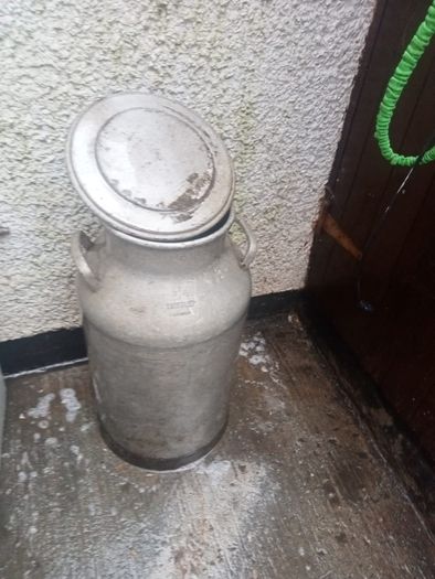 milk/water jug