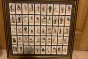 Framed rare collection of golf free postage
