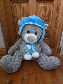 teddy