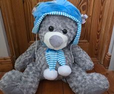 teddy