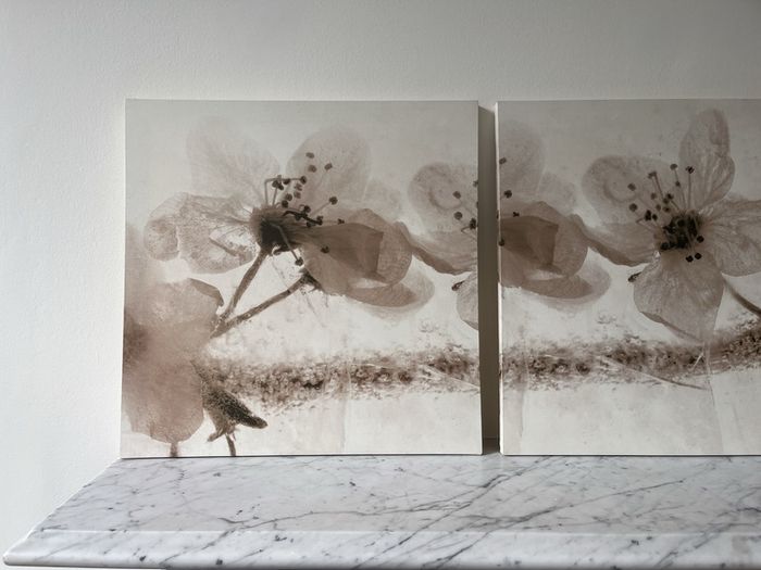 wall art