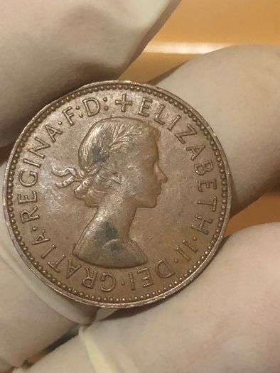 Elizabeth Halfpenny  x28 Pictures of each coin
