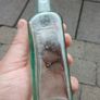 Vintage Glasgow Coffee and Chicory bottle Image 2