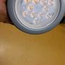 Phillips dimmable bulbs Image 2