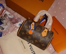 Louis Vuitton Speedy Bag