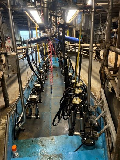 Milking parlor