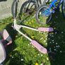 bikes Image 3