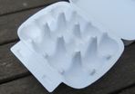 10 Quail Egg Boxes