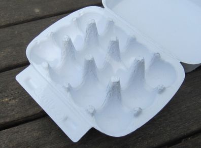 10 Quail Egg Boxes