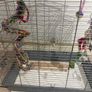 Birds cage Image 3