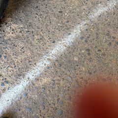 mower