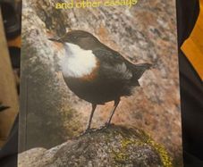 The Dipper's Acclaim And Other Essays. By John Feehan. First Edition Paperback In Good Condition.  See Photos For Same.