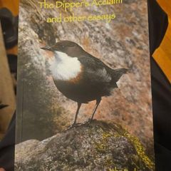 The Dipper's Acclaim And Other Essays. By John Feehan. First Edition Paperback In Good Condition.  See Photos For Same.
