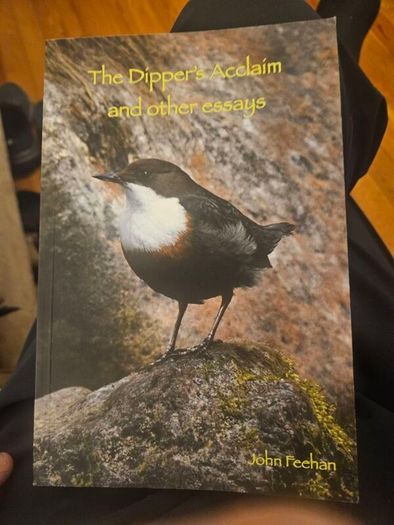 The Dipper's Acclaim And Other Essays. By John Feehan. First Edition Paperback In Good Condition.  See Photos For Same.