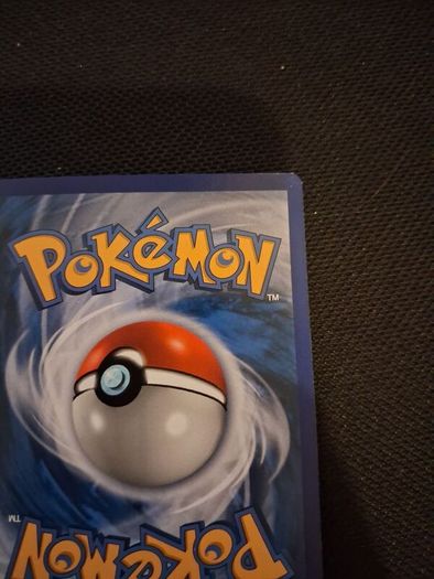Pokemon Card : Shauna 111a