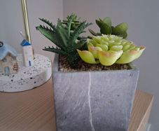 Artificial plant