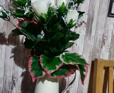 flowers pot