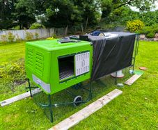 Chicken coop XXL