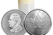 2026 Canada Tube of 25 - Maple Leaf 1 oz Silver Bullion Coin