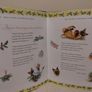 The Macmillan Book of Christmas HARDBACK BOOK Image 7
