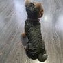 Leonardo Collection Yorkshire Terrier statue Image 4