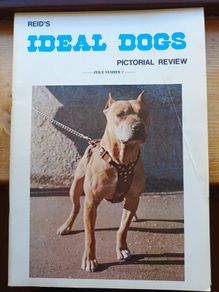 Ed Reid's Ideal Dogs