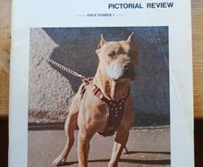 Ed Reid's Ideal Dogs