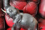fabulous large leather elephant