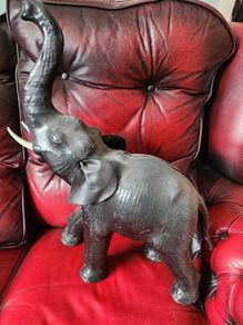 fabulous large leather elephant