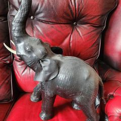 fabulous large leather elephant