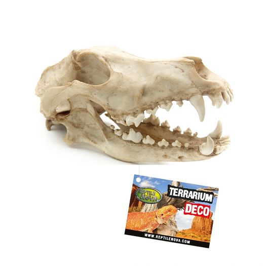 Reptile Nova Terrarium Ornament RN1055-CR