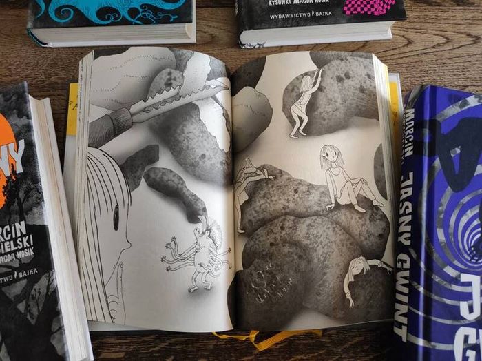 7x Polish Children's Books, Age 6+